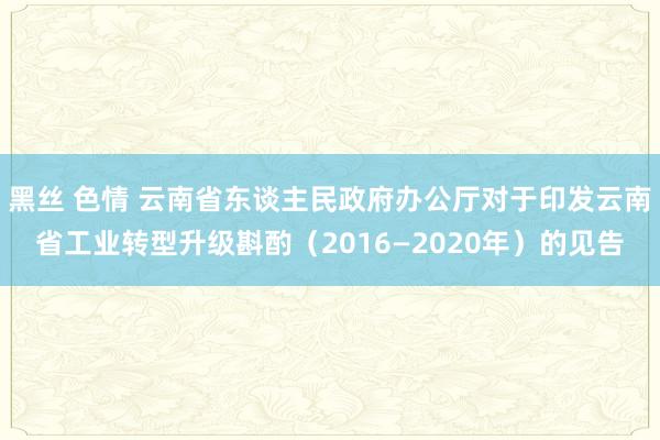 黑丝 色情 云南省东谈主民政府办公厅对于印发云南省工业转型升级斟酌（2016—2020年）的见告